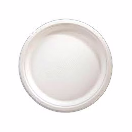 bagasse 12 inches plate