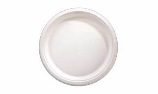Bagasse 12 inches plate