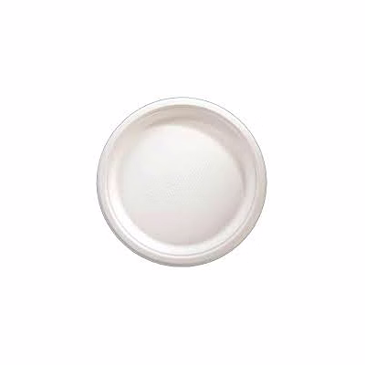 bagasse 12 inches plate