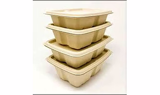 Bagasse Rectangular Boxes 500ml/750ml/1000ml