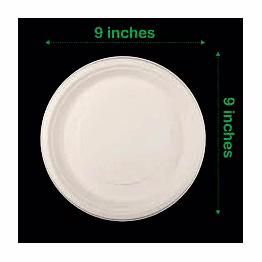 bagasse 9 inches plate