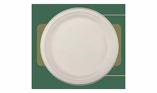 Bagasse 9 inches Plate