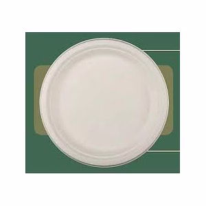 Bagasse 9 inches Plate