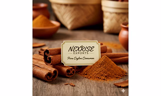 Premium Indian Cinnamon Sticks - Export Quality Spice fr
