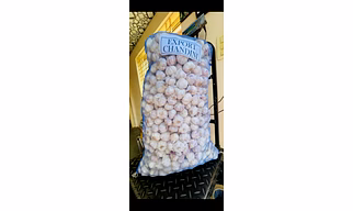 Garlic Organic