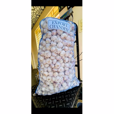 garlic organic