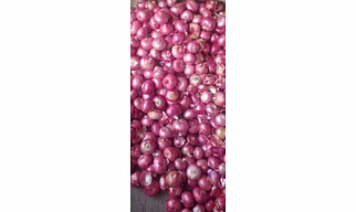 Onion Red Pure Organic
