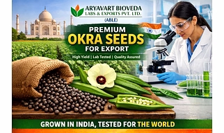 OKRA SEED