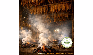 Tobacco (Raw)