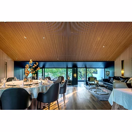 pvc blend-based ceiling panels