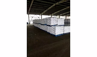 Soda ash light