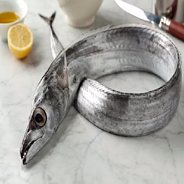 frozen ribbon fish