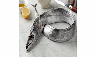FROZEN RIBBON FISH