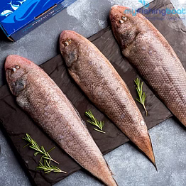 frozen sole fish