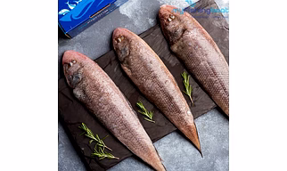 FROZEN SOLE FISH