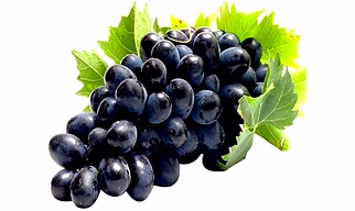 Grape black