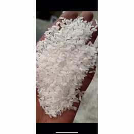 ir64 rice