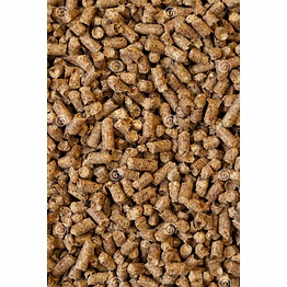 biomass pellets