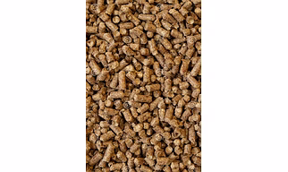 Biomass Pellets