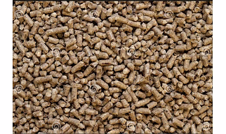 Biomass Pellets
