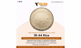 IR-64 Rice