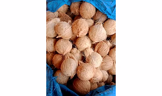 semi husk coconut