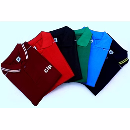 tshirt, lower, track suit