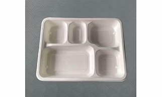 Bagasse Meal Tray