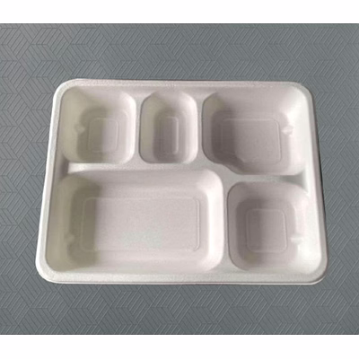 bagasse meal tray