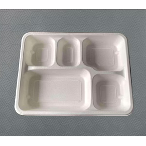 Bagasse Meal Tray
