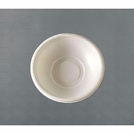 bagasse bowl