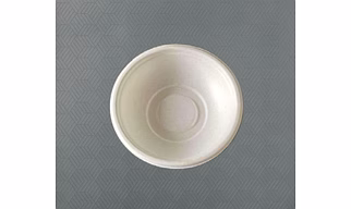 Bagasse Bowl