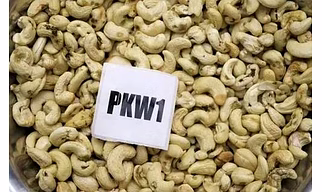 Cashew Nut