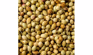 Coriander Seeds