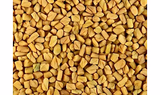 Fenugreek Seeds