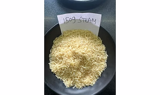 1509 Steam