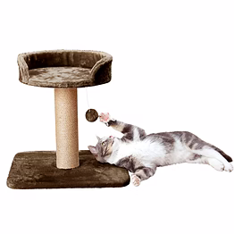 activity kitten cat tree - hanging ball | top seat | jute rope scratching post (height 16 inch) (green - furr - 001top)