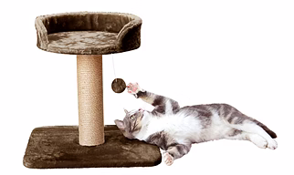 Activity Kitten Cat Tree - Hanging Ball | Top Seat | Jute Rope Scratching Post (Height 16 Inch) (Green - FURR - 001TOP)