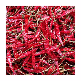 red chilli