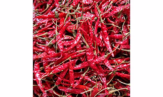 RED CHILLI