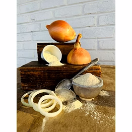 dehydrated onion powder