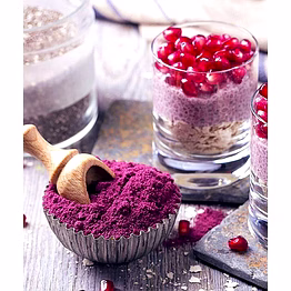 dehydrated promegranate powder