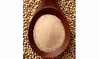 DEHYDRATED CHIKOO POWDER