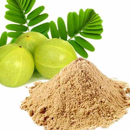 dehydrated amla powder