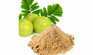 DEHYDRATED AMLA POWDER