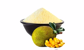 Dehydrated Jackfruit Powder