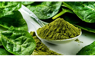 DEHYDRATED SPINACH POWDER
