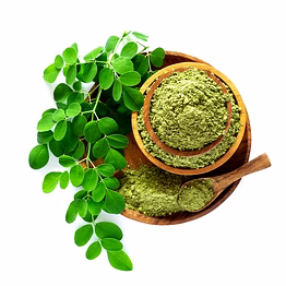 dehydrated moringa powder