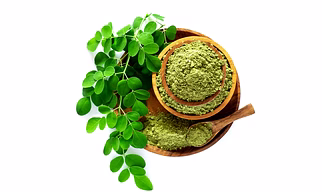 DEHYDRATED MORINGA POWDER