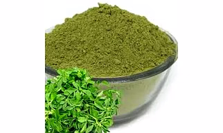 fenugreek leaf powder